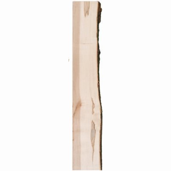 Live Edge Timber 4' LE Maple Shelf 47001